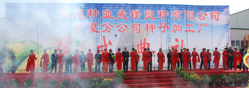 敦煌种业先锋良种有限公司宁夏分公司种子加工厂落成投产