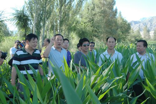 相互交流取长补短 共同学习稳步提高---敦煌种业组织中高层管理人员赴种子企业交流观摩