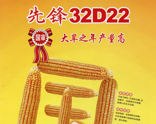 先锋32D22