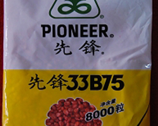 先锋33B75
