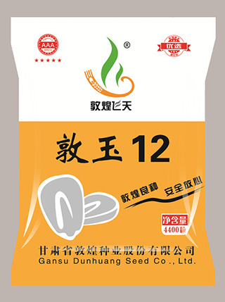 敦玉12