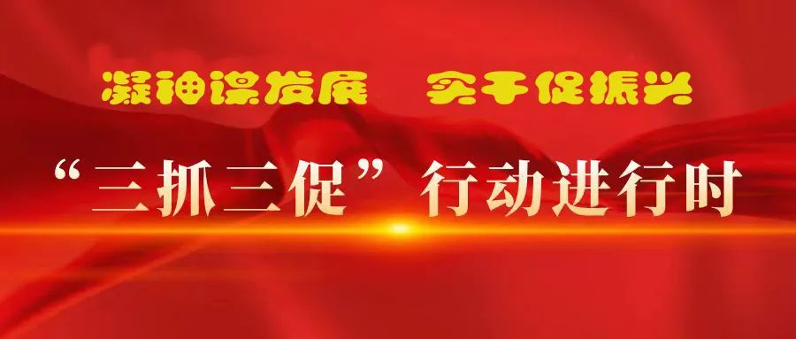“三抓三促”进行时 | 多措并举强本领 精准落实谋发展 —— 张掖市敦煌种业有限公司落实“三抓三促行动”纪实